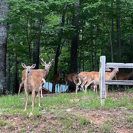 Eagle Mountain River Retreat エリジェイ エクステリア 写真